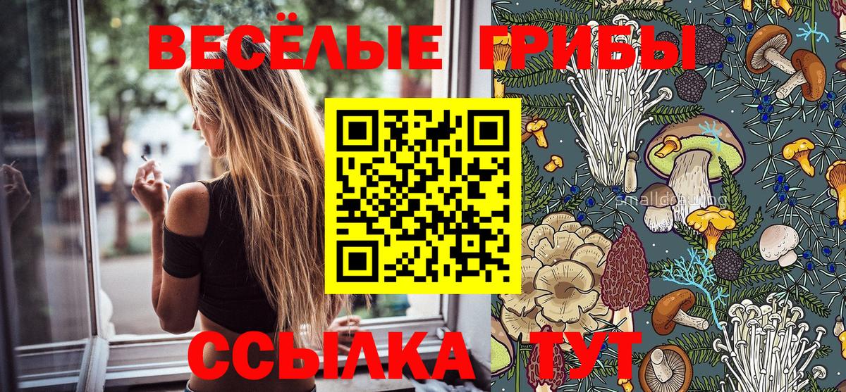 Тольятти  Псилоцибиновые грибы ЛСД  Псилоцибиновые грибы ЛСД  Вход с VPN 