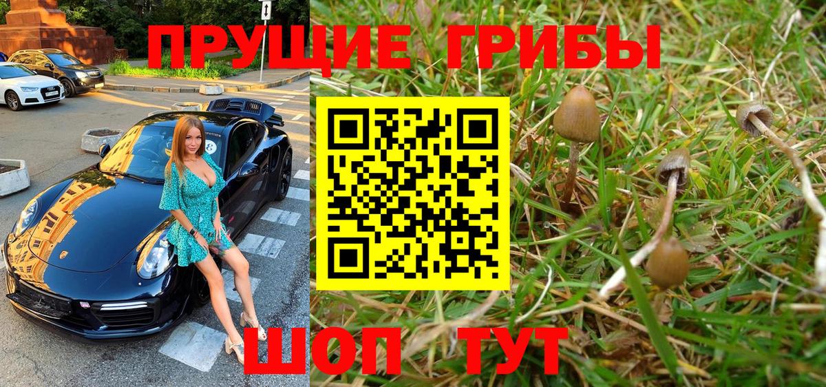Псилоцибиновые грибы GOLDEN TEACHER Тольятти